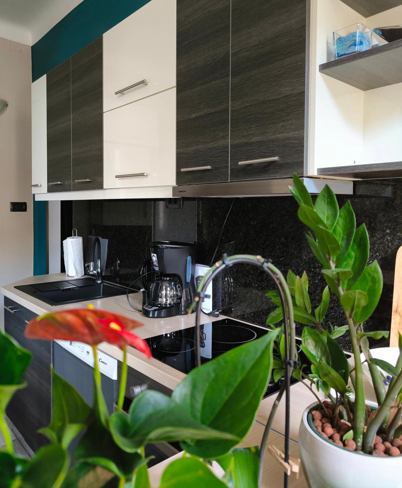 Urban Villa Apartment Opatija Dış mekan fotoğraf